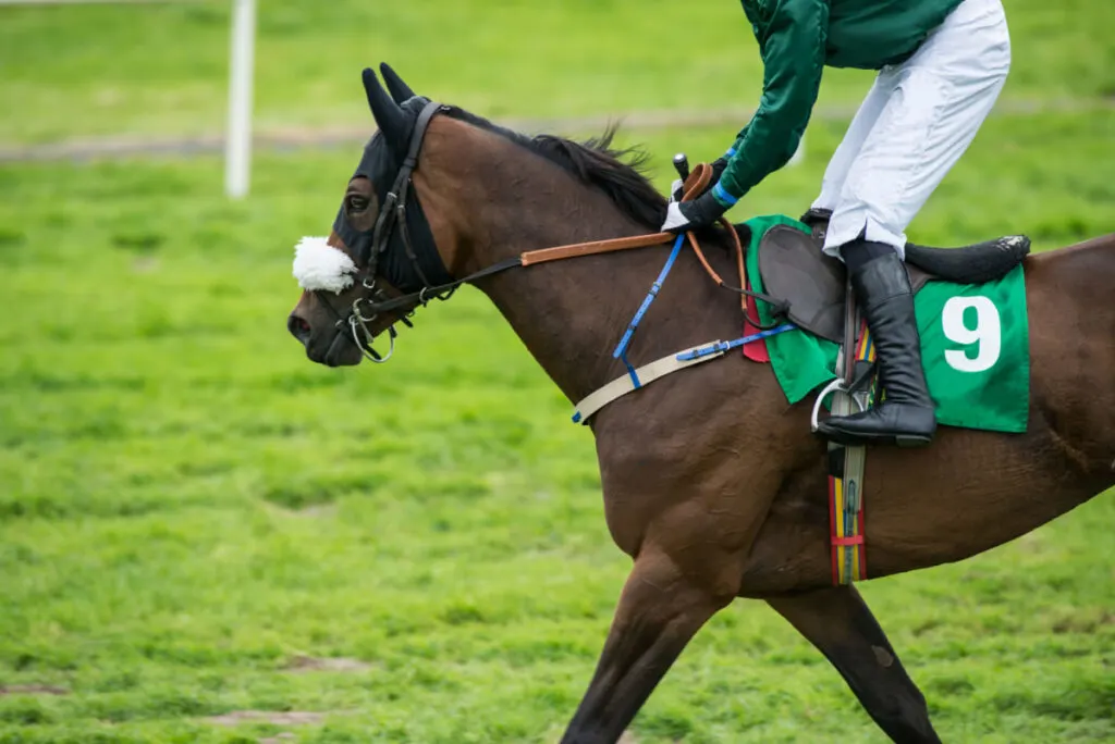 man in green long sleeves riding a horse during a horse race event