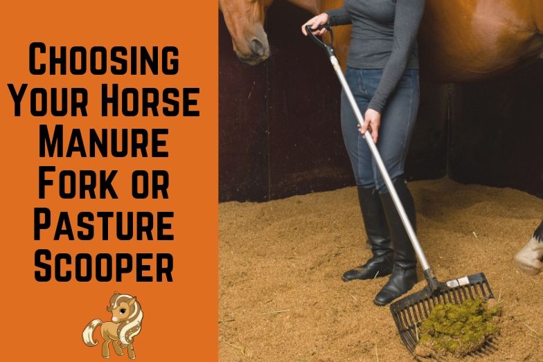 Guide to Choosing Your Horse Manure Fork or Pasture Scooper Helpful