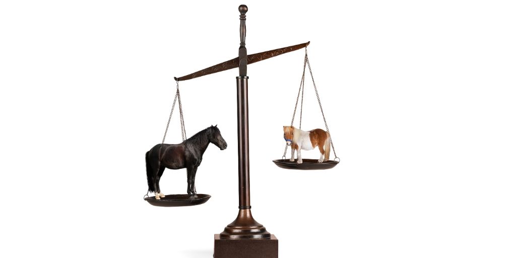 11 Ways You Can Measure Horse Weight Average Weights By Breed 