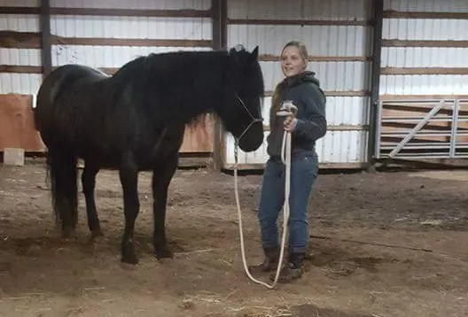 Young woman with her black horse in the barn