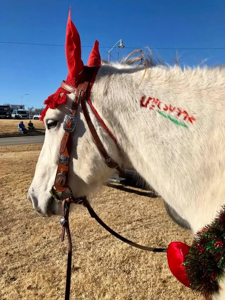 White horse with decoration and brand