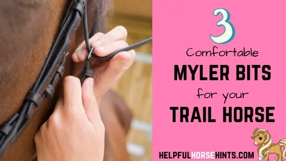 myler bits for your trail horse
