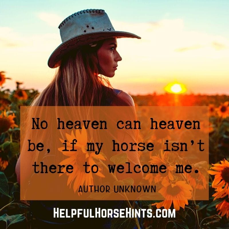 Horse Quote - No heaven can heaven be, if my horse isn’t there to welcome me.