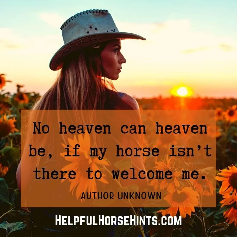 Horse Quote - No heaven can heaven be, if my horse isn’t there to welcome me.