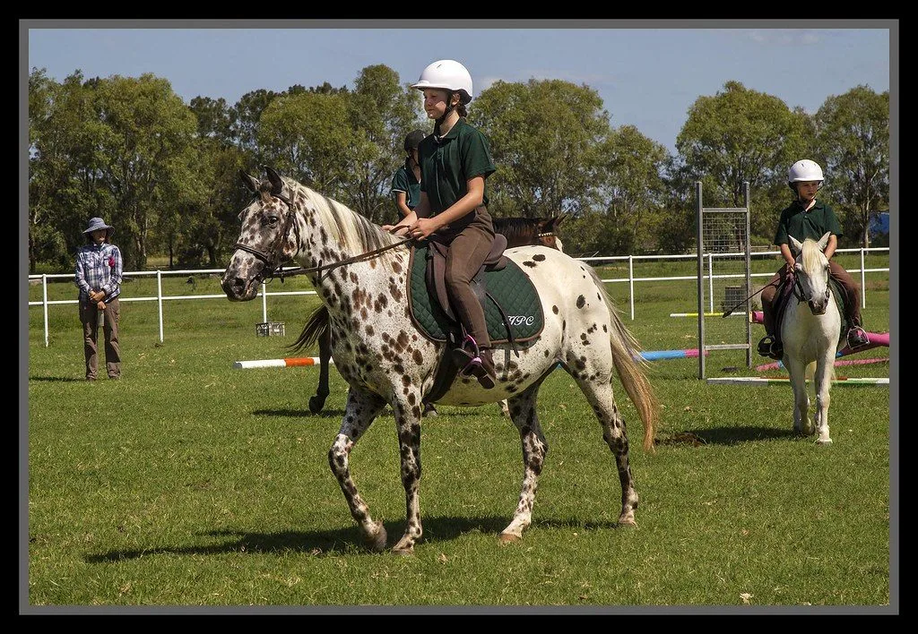 kids riding horses in a field