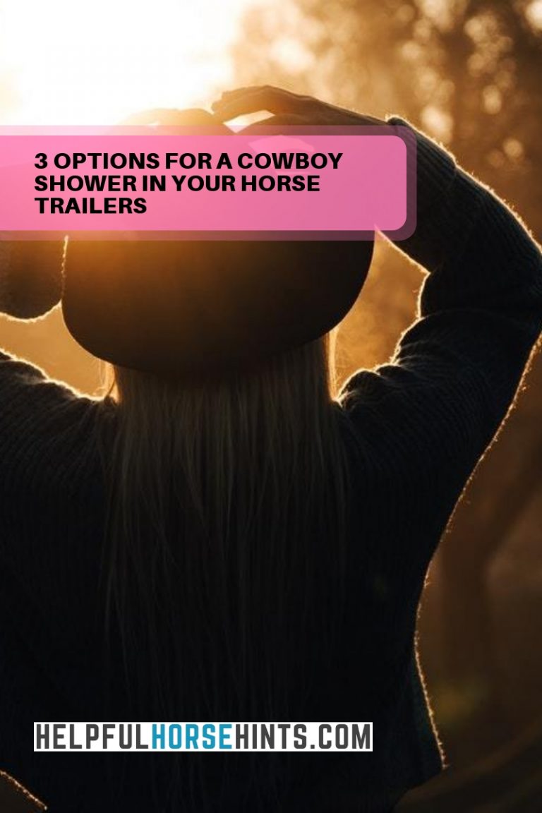 3 Options for a Cowboy Shower in your Horse Trailers Helpful Horse Hints