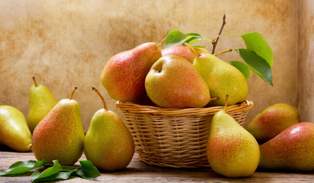 pears in a basket