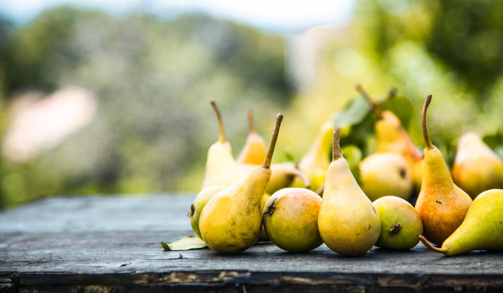 pears on a table