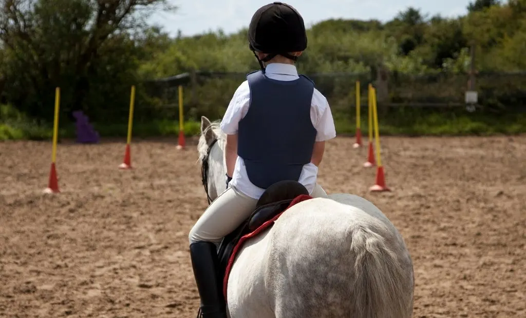 How Much Weight Can A Pony Carry Helpful Horse Hints