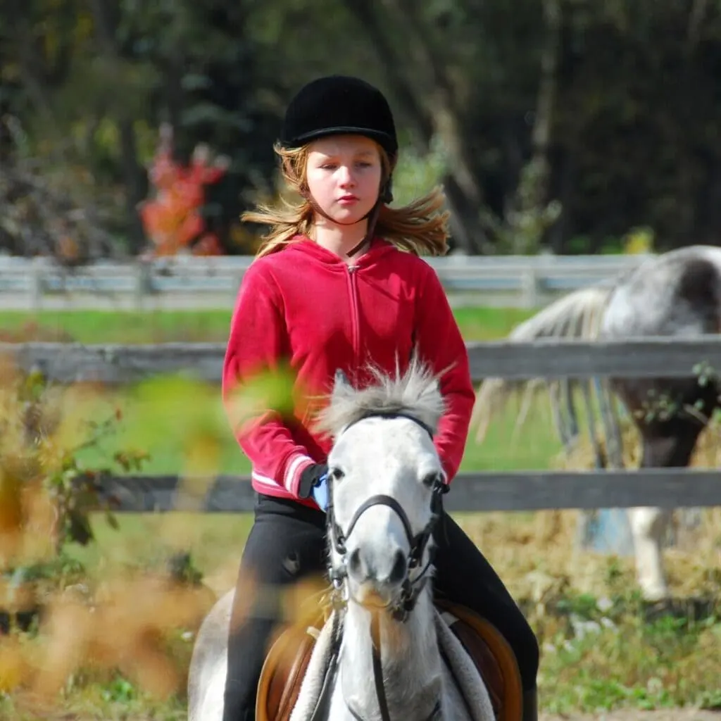 How Much Weight Can A Pony Carry Helpful Horse Hints