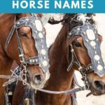 powerful horse names