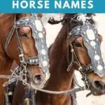 powerful horse names