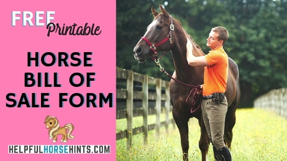 Free Printable Horse Bill Of Sale Form Helpful Horse Hints