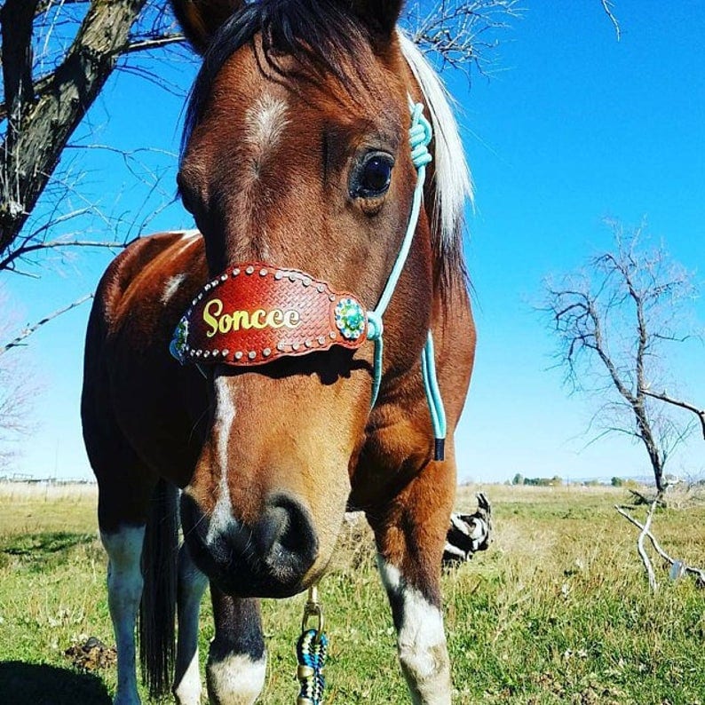 Etsy - Personalized Rope Halter with Bronc Noseband