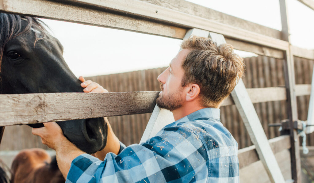 rancher in plaid shirt touching brown horse in corral on farm