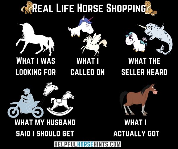 FREE Printable Horse Bill of Sale Form - Helpful Horse Hints