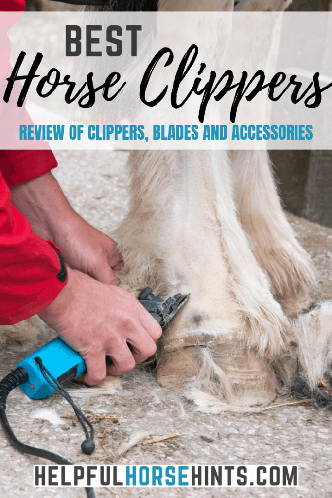 Pinterest Pin - Best Horse Clippers, review of clippers, blades and accessories 