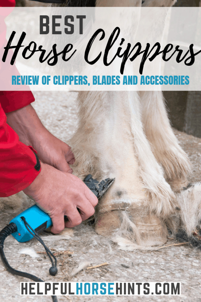 best cordless horse clippers 2019