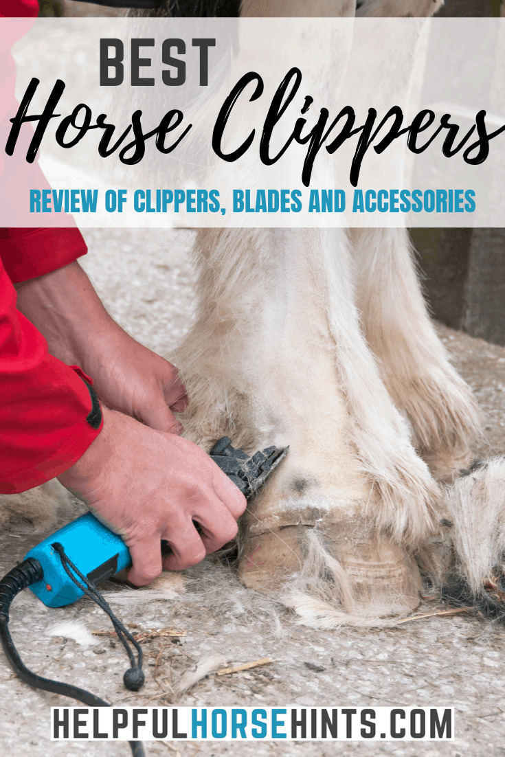 9 Best Horse Clippers for Your Barn Reviews Updated Nov 2019