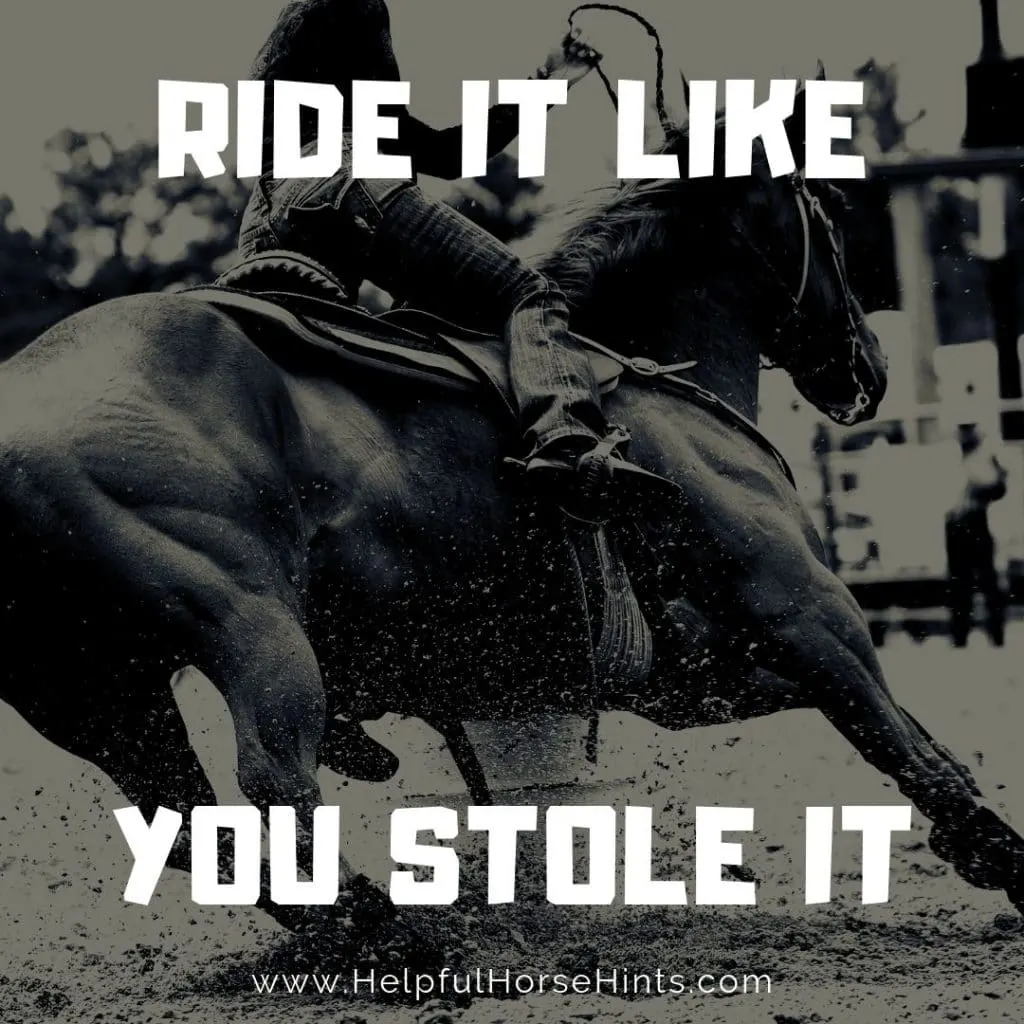 Pinterest Pin - Ride It Like You Stole It