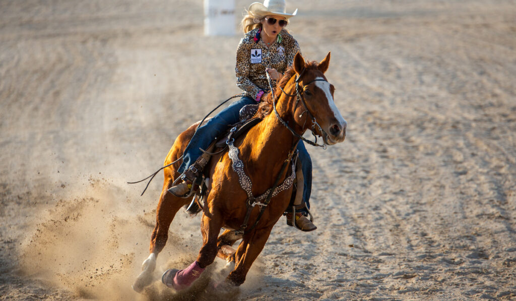 rider and horse in a barrel horse racing event