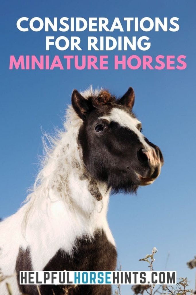Pinterest Pin - Consideration for riding miniature horses