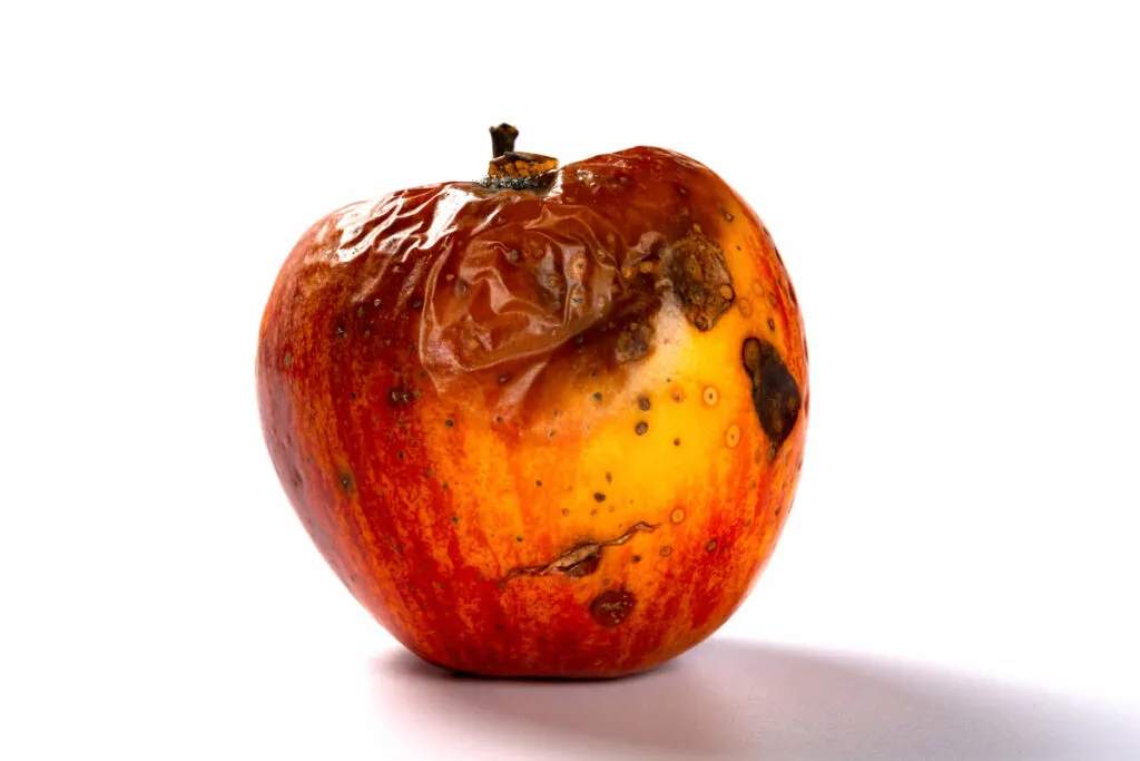 rotten apple on a white background