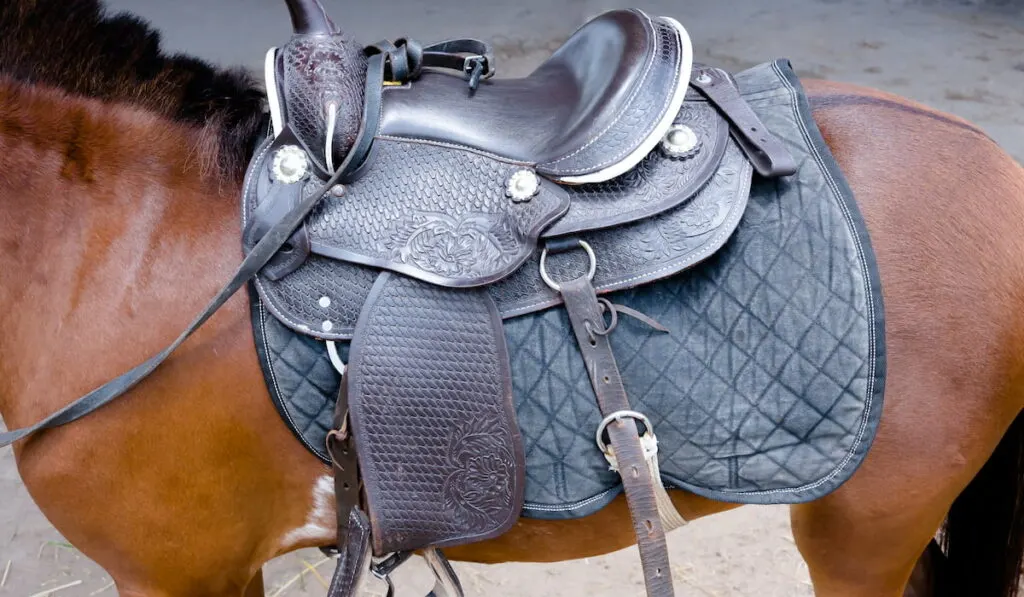 saddle on horse