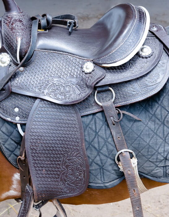 gray saddle on a horse