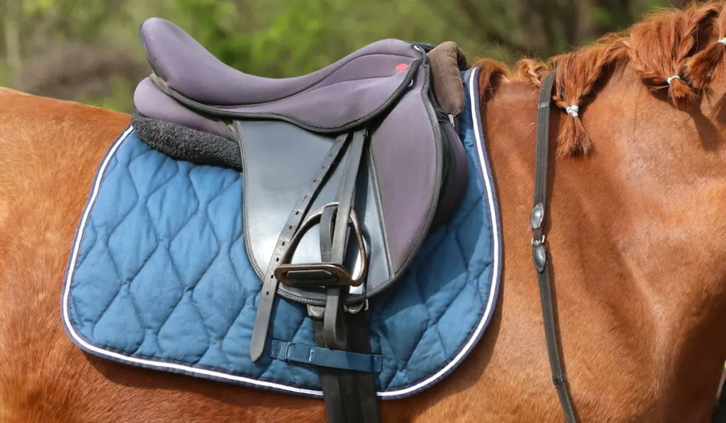 saddle pad