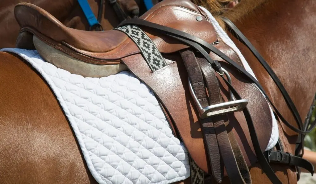 saddle pad with felt
