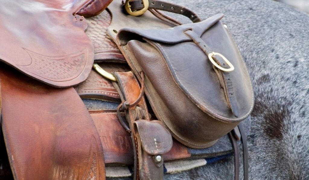 What Tack Do You Need for a Horse Complete Guide Helpful Horse Hints