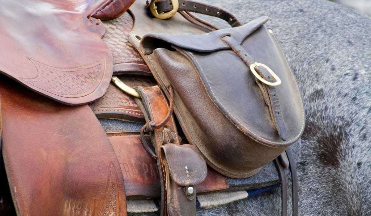 saddlebag