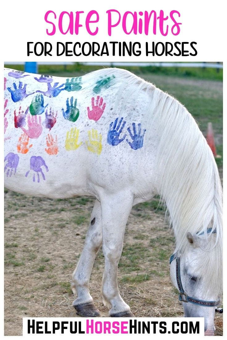 Choosing a Safe Paint to Use to Decorate Your Horse or Pony Helpful