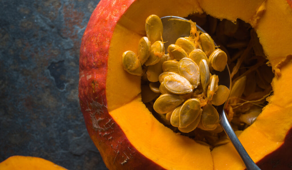 seeds for making pumpkin soup