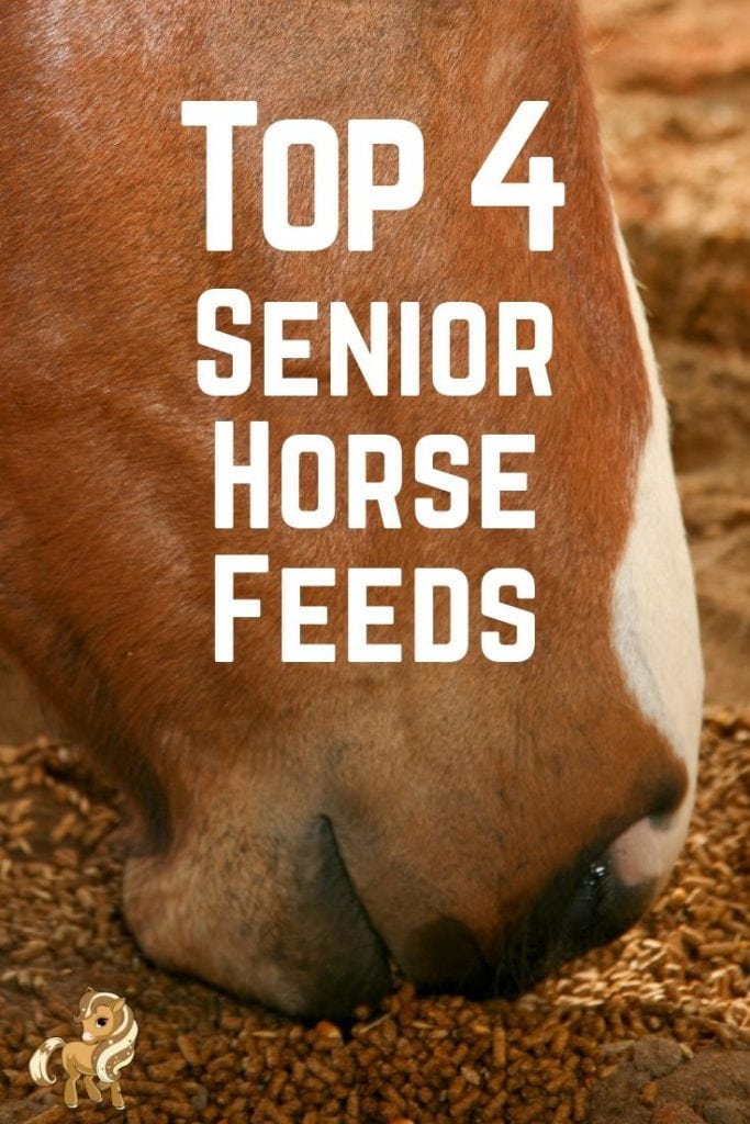pinterest pin - top 4 senior horse feeds 