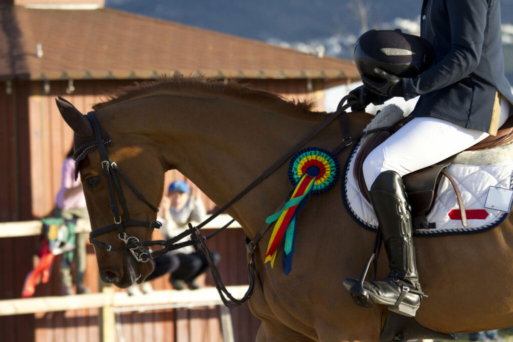 show horse and its rider won a prize