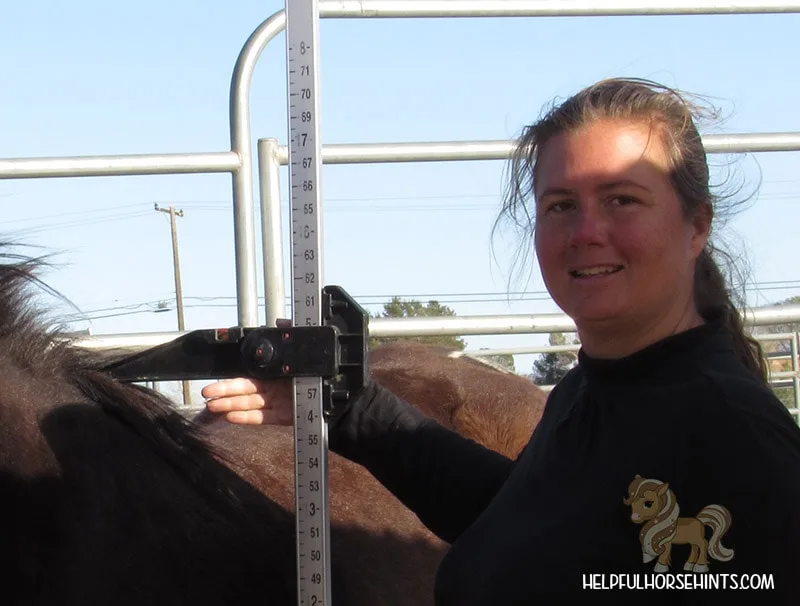 woman showing horse height measurement