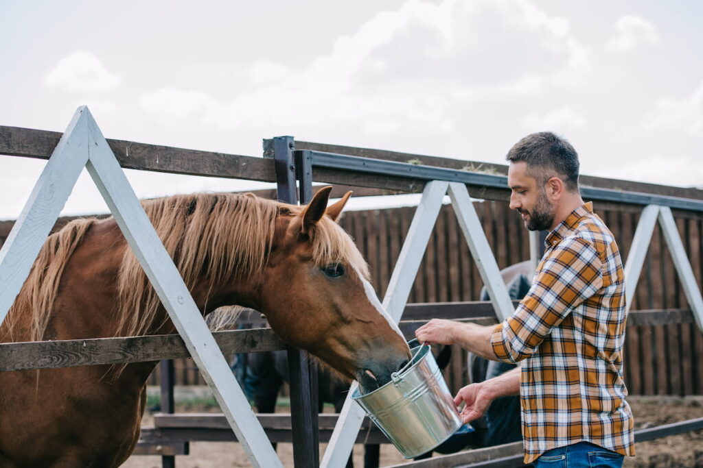 side view of farmer holding bucket and feeding horse in stable