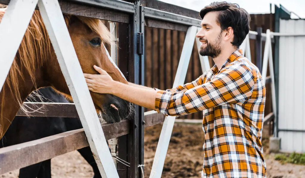 side view of horse and man