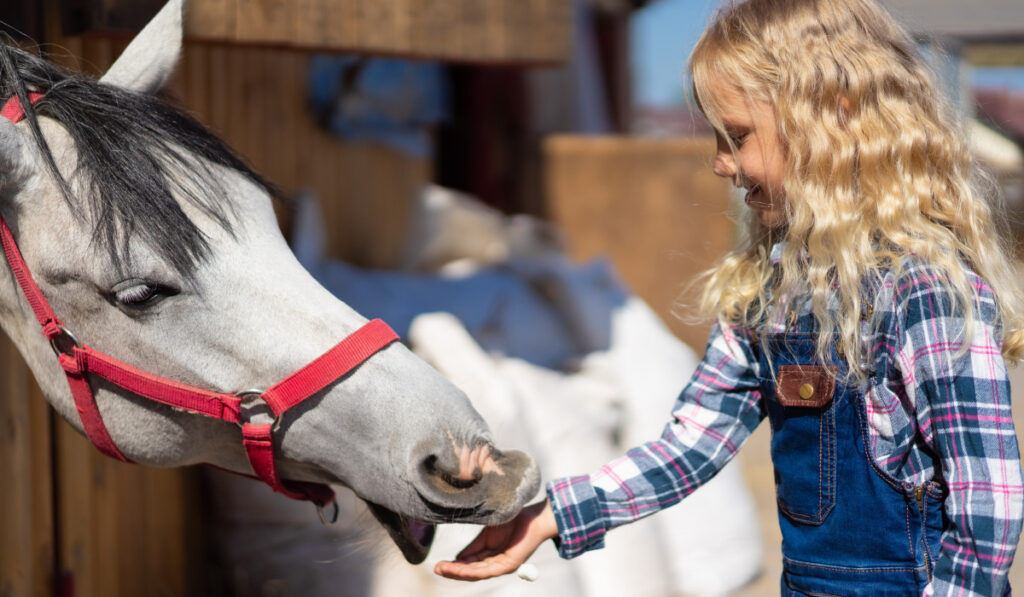 side view of smiling kid feeding horse at farm
