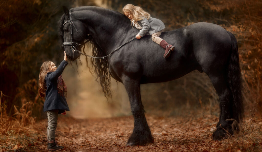 sisters with a very beautiful friesian horse