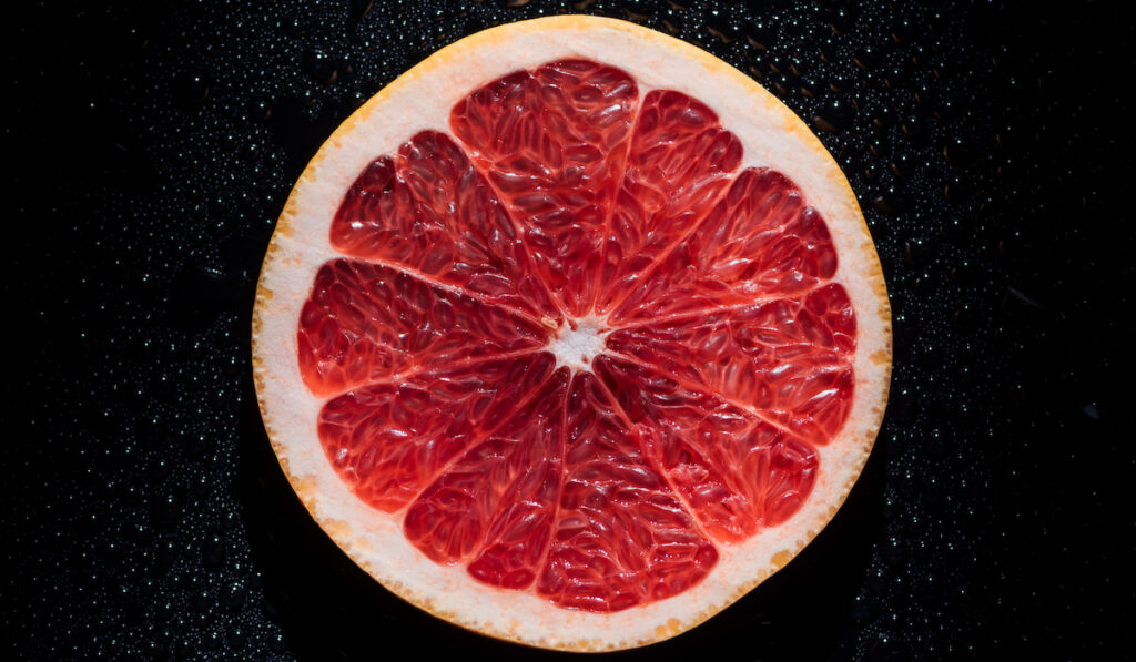 slice of grapefruit on black background