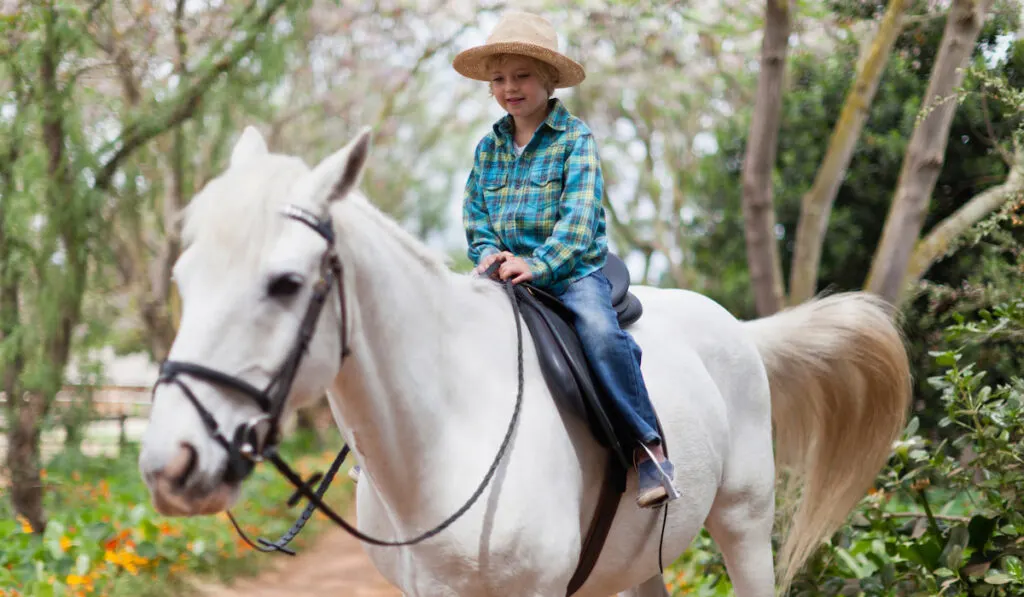 smiling boy riding a horse for rent in a park
