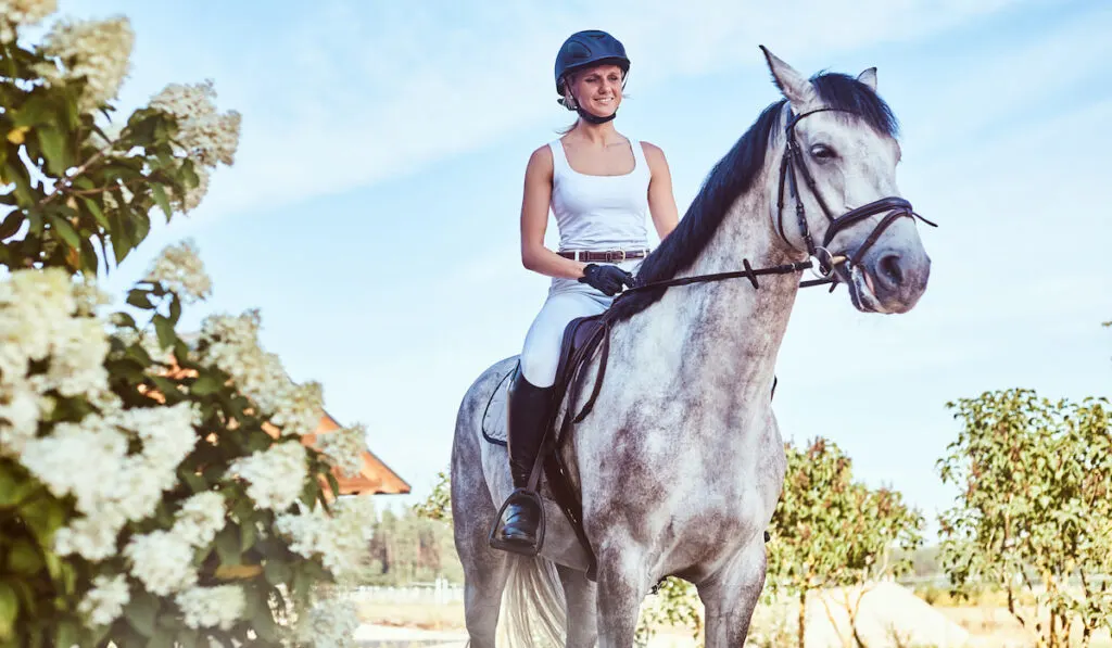 smilking female jockey on gray tennessee walking in the garden