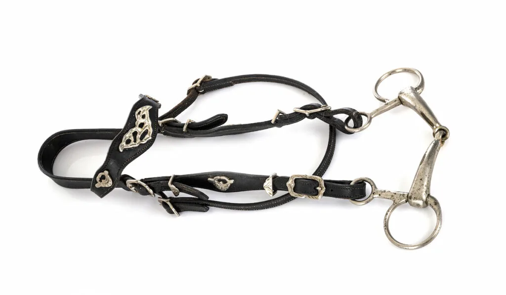 snaffle bridle in studio on white background