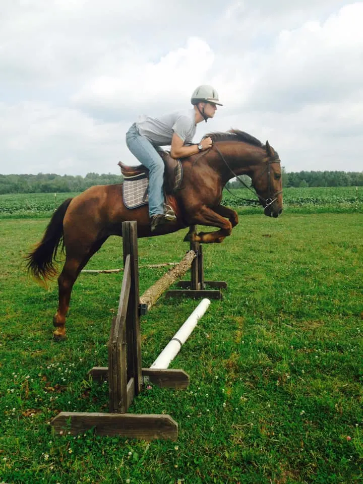 Solar Flare - Chestnut Mustang mare jumping on wooden obstacle
