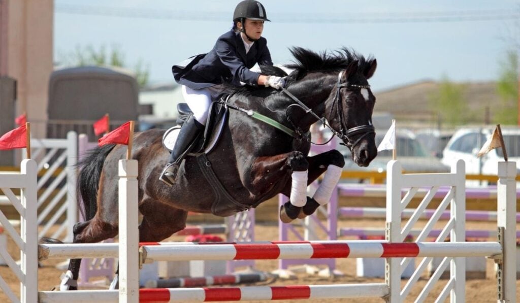 horse jumping a square oxer