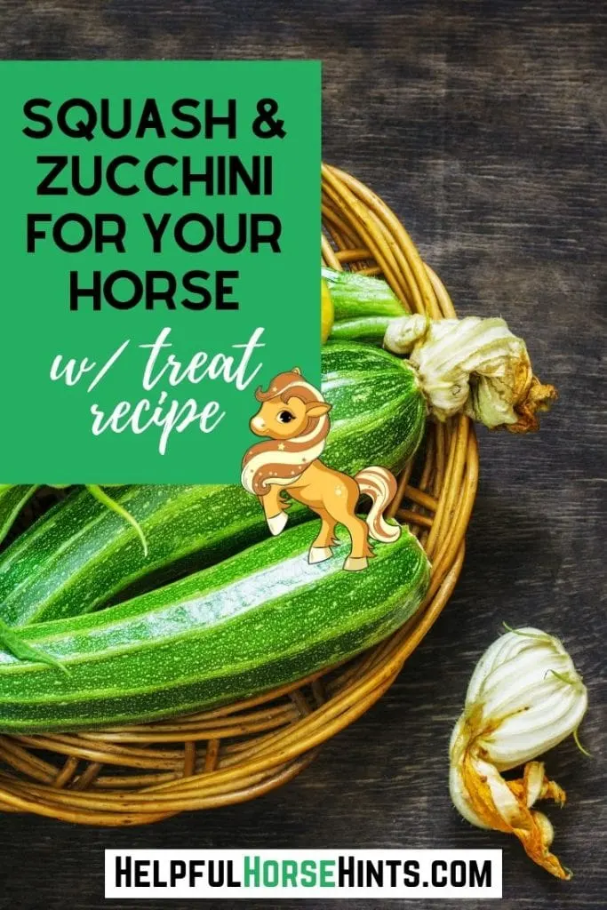 Pinterest pin - Squash and Zucchini for Your Horse with Treat Recipe
