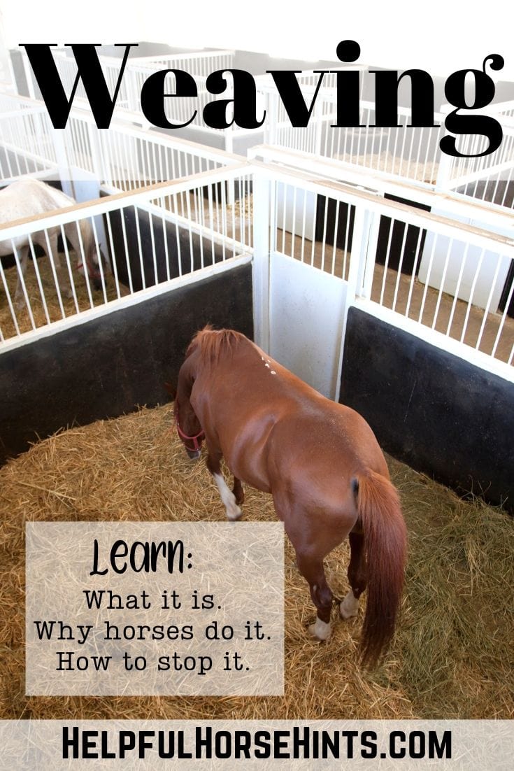 Horse Weaving What It Is, Why Horses Do It & How to Stop It Helpful
